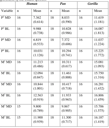 Table 4 Means (and standard deviation, S.D.) for each tooth variable for the male specimens of the extant species