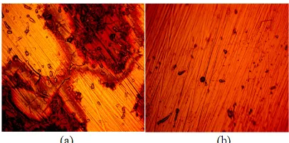 Fig. 6. Micro-analytical images of nickel alloy specimens 