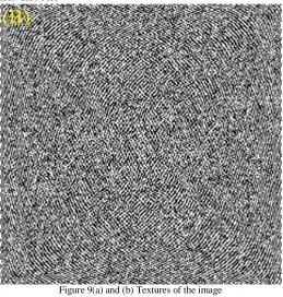 Figure 9(a) and (b) Textures of the image 