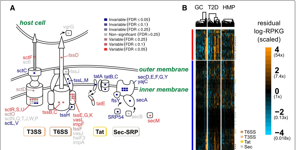 Fig. 4 Variable and invariable gene families involved in bacterial secretion separate by gene function.(variance from the negative binomial null distribution