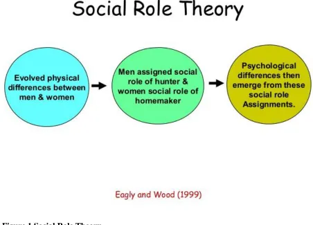 Figure 1 Social Role Theory  