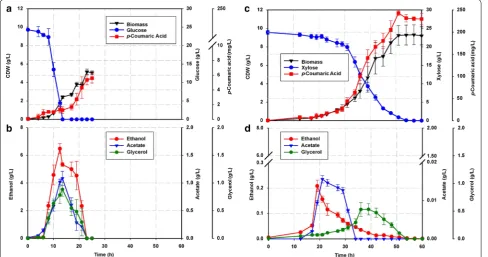 Fig. 1 Microbial production of p-coumaric acid in strain ST4274 during growth on: a glucose and b xylose in batch cultivations with an initial substrate concentration of 25 g/L