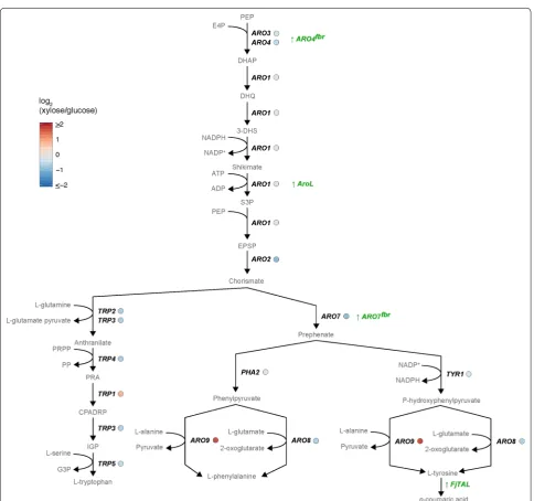 Fig. 4 Gene expression levels of aromatic amino acid biosynthesis. The comparative analysis includes the  log2 fold-change  (log2FC) xylose/glucose under carbon limitation conditions