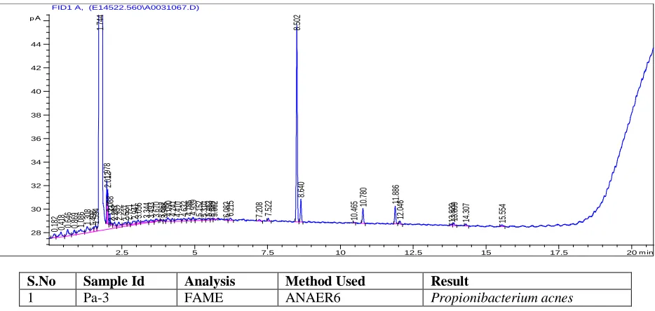 Figure 3:   Chromatogram of bacterial sample Pa3 showing the fatty acid peaks through Agilent GC 6850   