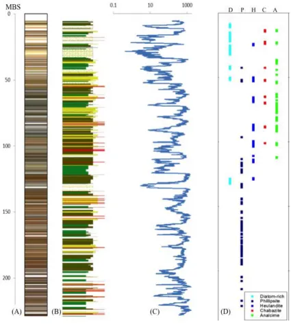 Figure 4 (A) Core color, (B) lithology, and (C) magnetic susceptibility (MS) log data (25-