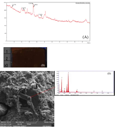 Figure 6 Analysis of philipsite-bearing sample BTB-1A-65Q-2_1-3 (187.73 mbs): (A) 