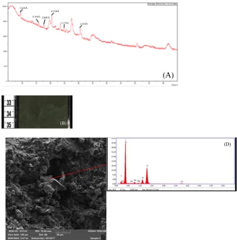 Figure 8 Analysis for chabazite-bearing sample BTB-1A-23Q-1_33.5-35.5 (64.83 mbs): 