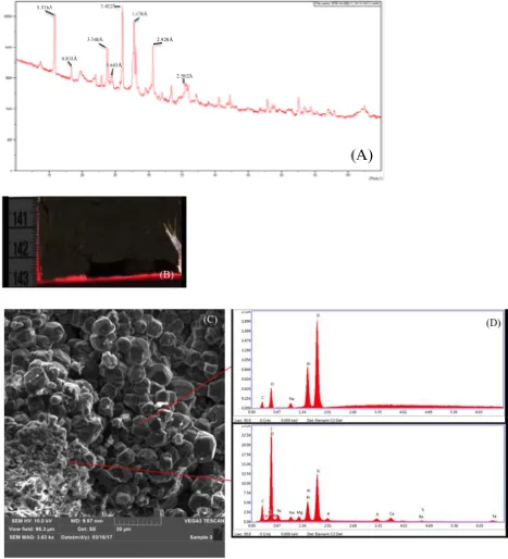 Figure 9 Analysis for analcime-bearing sample BTB-1A-28Q-1_141.5-143.5 (81.18 