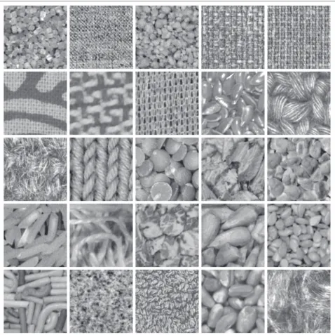 Fig. 1 Examples from the 25 texture classes in the Kylberg Sintorn Rotation Dataset. Row 1: cane sugar, canvas, couscous, fabric 1, fabric 2