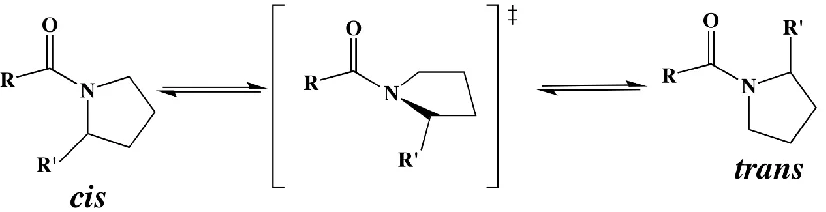 Figure 1.1 A known intrinsic molecular switch. in many conformational changes to a protein backbone and contact dynamics.Figure 1.1 Proline switch is modulated through the cis-trans isomerization which results 11  