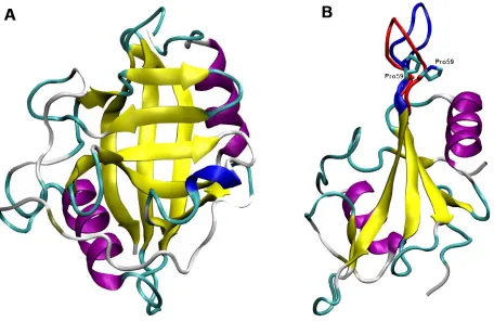 Figure 1.2 Structure of Cyclophilin Aconformations in the loop highlightedITK while the red represents the 19 and SH2 domain of ITK36 Figure 1.2