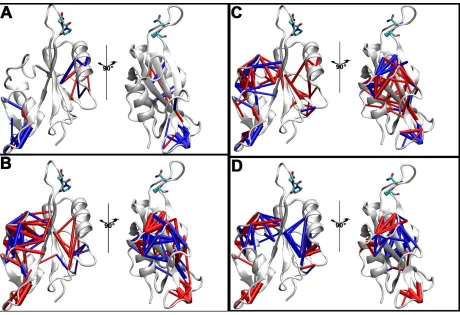 Figure 4.5 Residue-residue contact statistics from the transintermediate points of 135°, 90°, and 45° of the top of structure from PDB 1LUK state to the cis state, at Asn286-Pro287 peptidyl-prolyl bond overlaid on 10 Figure 4.5 Changes in the residue-residue contact probabilities above a magnitude of 
