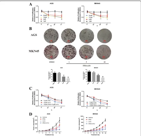 Fig. 1 Itraconazole inhibits the growth of gastric cancer cells in vitro and in vivo.d(vehicle (or a combination of itraconazole and 5-FU (ITRA + 5-FU;itraconazole, 10a Decrease in viability of gastric cancer cells (AGS and MKN45)following treatment with i