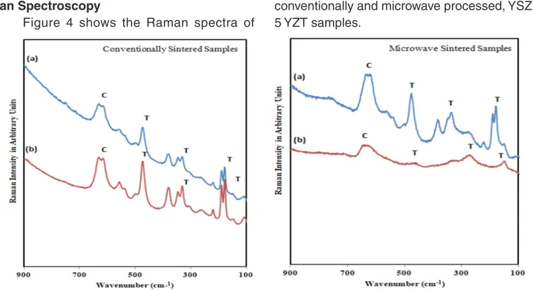 Figure 4 shows the Raman spectra of 