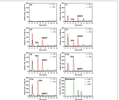 Fig. 5 UHPLC analysis of the medium fraction of shredded PET incubated with PETase‑FLAG producing clone 2