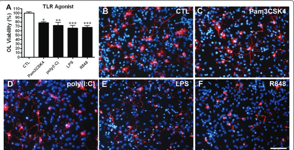 Figure 6 Stimulation of mixed glia with TLR2 and TLR7 agonists increases TNFcombined means ± SEM from 4 independent experiments