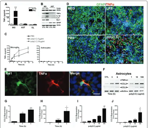 Figure 5 Microglia produce TNFexperiments.CCL5 was determined by RT-PCR from astrocytes treated with vehicle (sterile PBS; 5concentrations (right) of poly(I:C) for 6 h