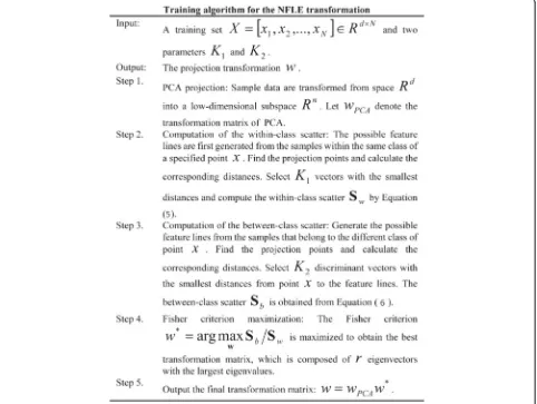 Fig. 4 Training algorithm for the NFLE transformation