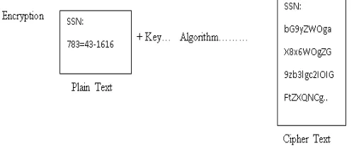 Fig. 3. –Encryption Process  
