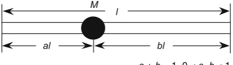 Fig. 1 Beam with additional mass