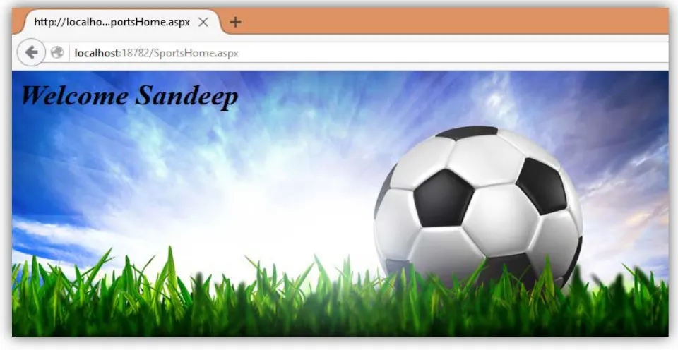 Figure 7: Reena Homepage 