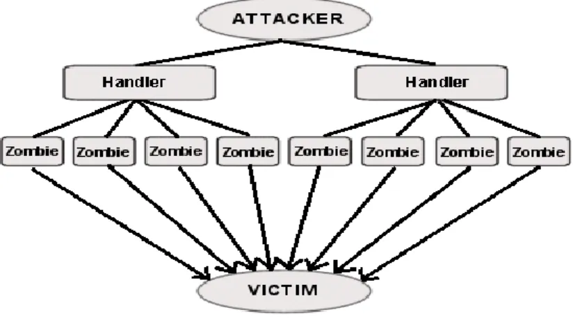 Figure 1. Agent Handler Model of DDoS Atack [1] 