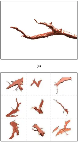 Figure 2.8 3D components of a crayfish neuron branch 