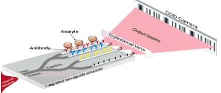 Fig. 1. Schematic representation of the four-channel integrated optical YI biosensor: 1, 2 and 3 indicate the measuring channels, and 4 is the reference channel