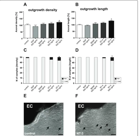 Figure 1 Recombinant NT-3 stimulates neurite density and length of organotypic brain slices