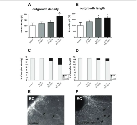 Figure 2 IL-1b stimulates neurite density and length in organotypic brain slices. A dose-response curve revealed that high doses of IL-1b(500 ng/ml) added to the culture medium, stimulate neurite density (A) of organotypic brain slices and the amount of sl