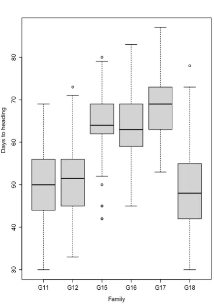 Figure 2.1: Phenotype distribution of heading date in six full-sib families. Box-plotsrepresenting heading date in full-sib families with y-axis showing days to heading andfamilies on x-axis.