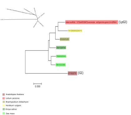 Figure S2.10: Phylogenetic tree of candidate heading gene GI. The evolutionary his-tory was inferred by using the Maximum Likelihood method based on the JTT matrix-based model [95]