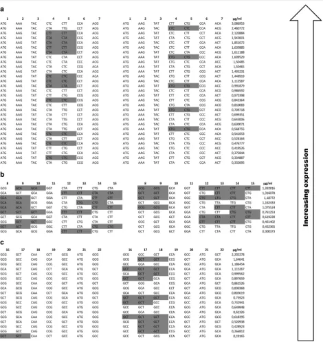 Fig. 8 Relationship between synonymous codon pair bias and the expression levels of immunoreactive Fab fragment in a N–0 library, b H–0 library and c C–0 library