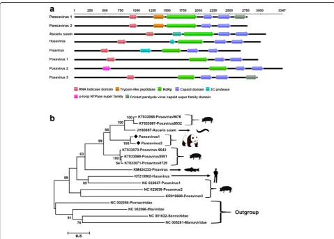 Fig. 5 Genomic organization and phylogenetic analysis of the novel picornavirales identified in the giant pandas.domains within the polyproteins of pansaviruses and their related viruses were shown in a Positions of conserved different colors
