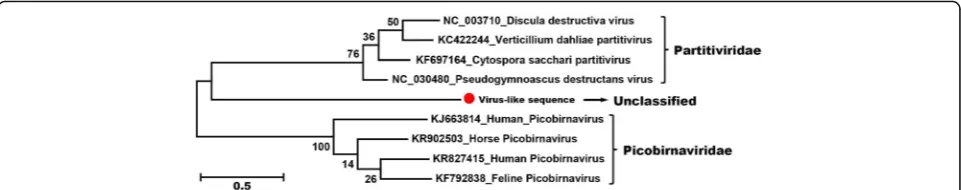 Fig. 8 Phylogenetic analysis of the partitivirus-like sequence identified in the giant pandas