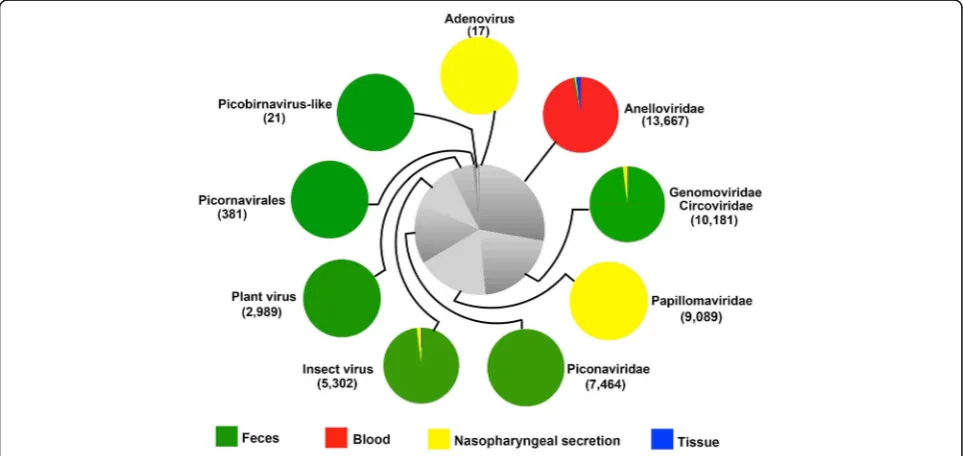 Fig. 1 The composition and sample distribution of eukaryotic viruses detected in giant pandas