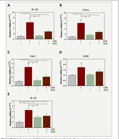 Figure 5 GPE blocks the expression of inflammatory markers that are induced by LPSmRNA expression of pro-inflammatory markers, IL-1cortex and expressed relative to GAPDH