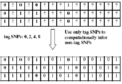 Figure 1.3. Problem formulation 