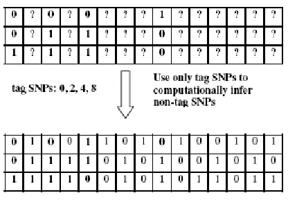 Figure 2.1. Problem formulation 