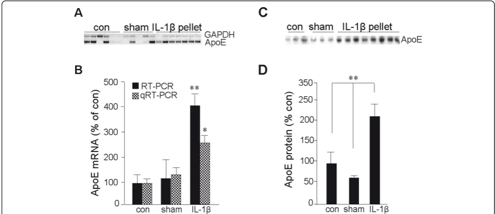 Figure 2 IL-1bTNFrats (containing vehicle alone (cerebrum with a slow-release pellet containing 100 ng IL-1PelletResults quantified by densitometry showed significant differences inmRNA levels from brains with IL-1sham pellets, or from those serving as con