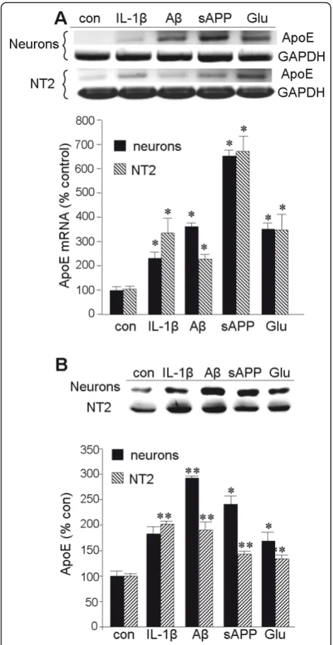 Figure 4 Elevation of ApoE expression in neuronal cells bysAPP (30 nM), or Glu (50the cultures for RT-PCR of ApoE and GAPDH as illustrated