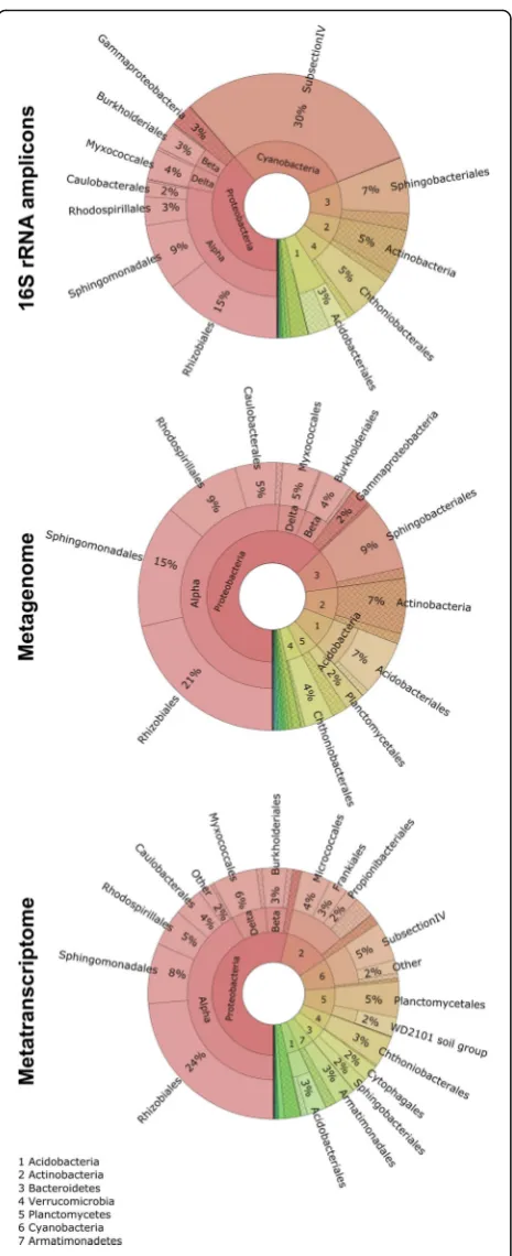 Fig. 1 Bacterial community structures of the Lobaria-associatedmicrobiome are visualized in a mulit-level Krona chart from phylumto order level (starting at the inner circle) for each omic approach(16S rNA amplicons, metagenome, metatranscriptome)