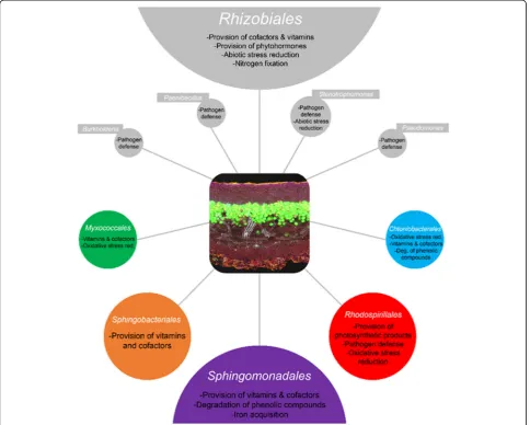 Fig. 5 Functional assignments within the lichen symbiosis obtained with multi-omics technologies and corresponding analyses