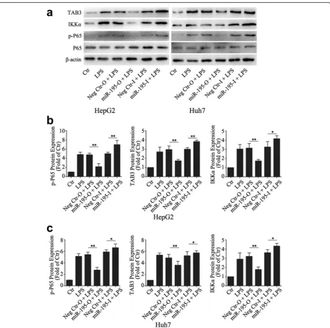 Fig. 7 MiR-195 inhibited the activation of NF-the mean ± SD of triplicate samples; *κB pathway