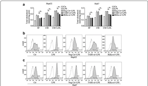 Fig. 4 Down-regulation of IKKα and TAB3 expression suppressed LPS-induced cholesterol accumulation