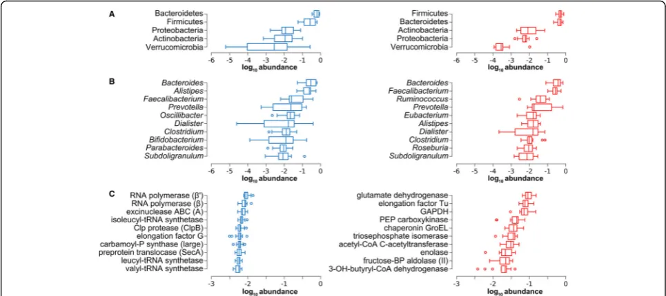 Fig. 2 Main metagenome and metaproteome features of the gut microbiota. MG data are in blue (left), while MP data are in red (right)
