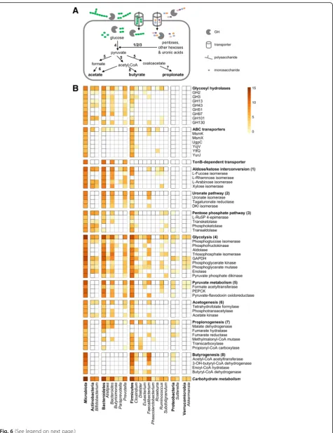 Fig. 6 (See legend on next page.)