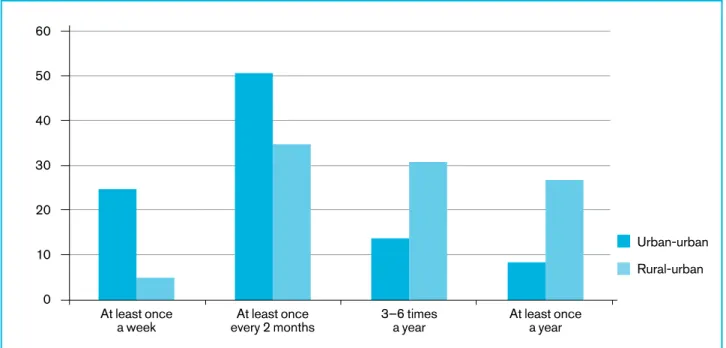 Figure 2. Frequency of food remittances