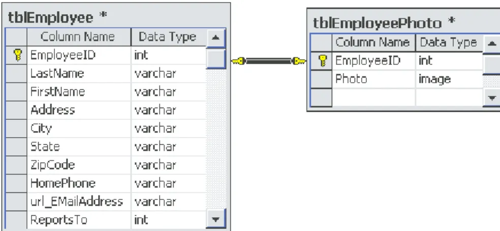 Figure 2. Image data can be vertically partitioned by locating it in a separate table