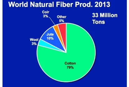 Figure 1. Worldwide production rate of Natural fiber 